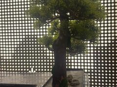 -华夏良子·足道SPA艾灸(铁道大厦店)