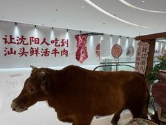-沈阳铁西万象汇