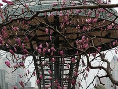 -西湖文化广场