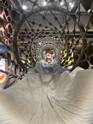 -鲁比猴非洲探索部落(喜盈门店)