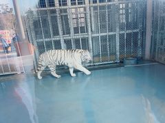 -无锡动物园·太湖欢乐园