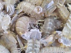 -海天市场(淮河路店)