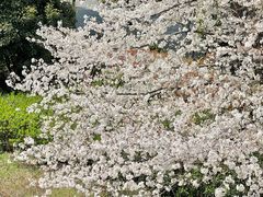 -IKEA宜家家居(南京商场)