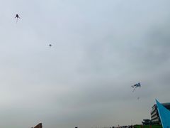 -南汇嘴观海公园