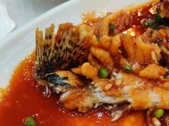 -红菜坊·烤鸭·川鲁宴(石园店)