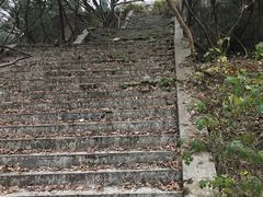 -青龙山国家森林公园