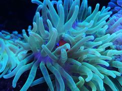 -多彩贵州城极地海洋世界