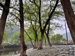 -鹿亭中村