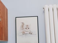 -纳吉亚猫专科动物诊疗中心(蒋宅口分院)