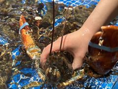 -将相和·海鲜蒸饺大连菜