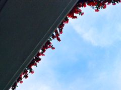 -深圳东部华侨城茵特拉根酒店