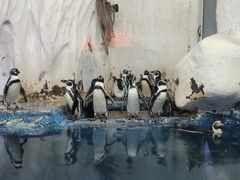 -太平洋海底世界