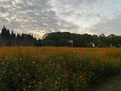 -华东政法大学(松江校区)