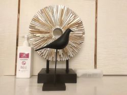 -茜尔维亚修身连锁(闵行莘庄店)