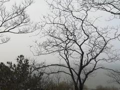 -报恩禅寺