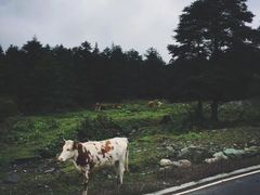 -硗碛藏寨·神木垒景区