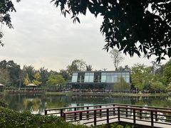 -成飞公园