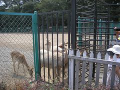 -北京麋鹿生态实验中心