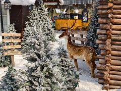 -HERRE·FARM 赫尔露营农场·团建聚会包场