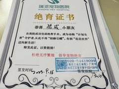 -瑞派动物医院·猫专科·至诚(江南中分院)