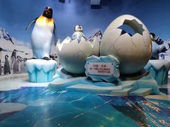 -海合安天津极地海洋公园