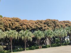 -厦门悦华酒店