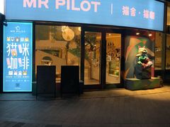 -飞行喵MR PILOT|猫舍·猫咖(静安大融城店)