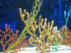 -珠海长隆海洋王国