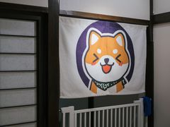 用餐区-逗柴咖啡屋·狗咖猫咖宠物桌游