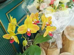 -BoBloom花店(晶耀前滩店)