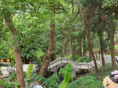 -东明山森林公园
