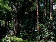 -成都市活水公园