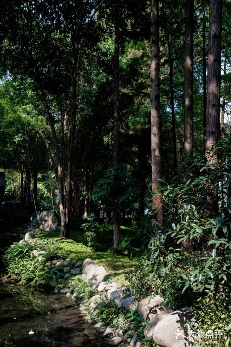 成都市活水公园图片