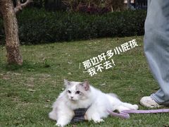 -二沙岛艺术公园