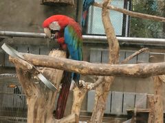 -大连森林动物园