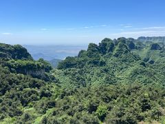 -王莽岭风景区