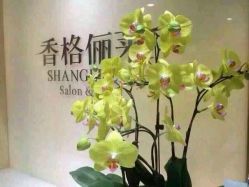 -CARR SALON
