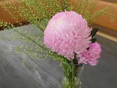 -常胜鲍鱼(吉大店)