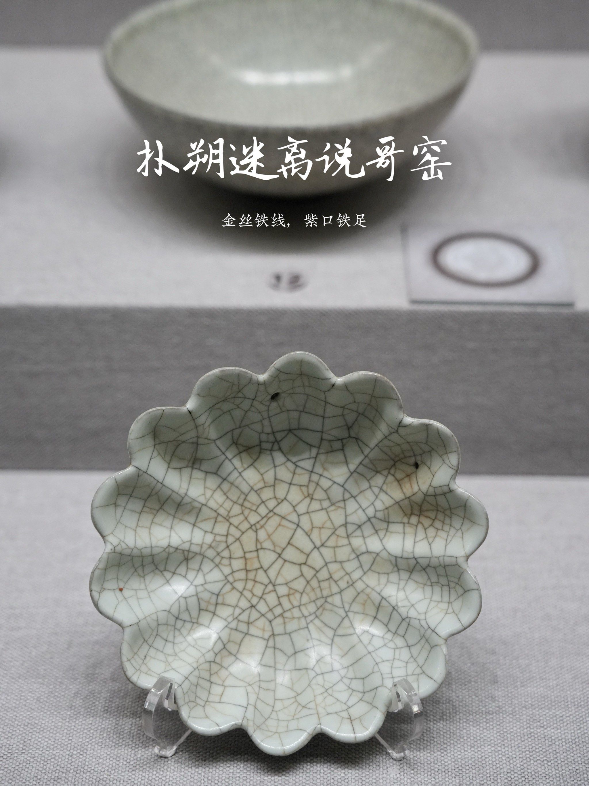 n	
哥窑的名称最早见于明代曹昭的《格古要论》,书中