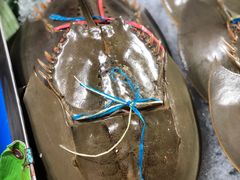 -席娜卡琳火车铁道夜市