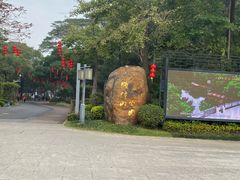 -顺峰山公园