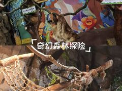 -正佳雨林生态植物园