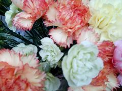 -春暖花开(西溪店)