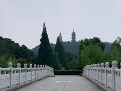 -焦山风景区