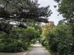 -国家植物园南园