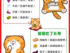 -守诺宠物医院·眼科· 特色牙科·异宠专科(虹口店)