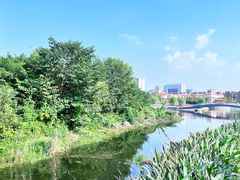 -西山漾湿地公园