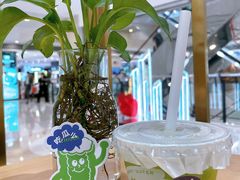 -炖物24章·顺时轻养茶(杭州大厦店)