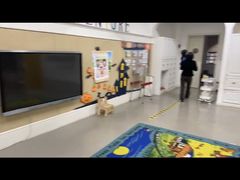 -华媒维翰幼儿园