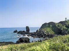 -涉地可支